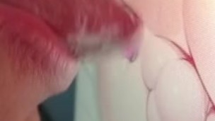 chupando el culo, la verga mojada, y la boca a hentai trans cute en la habitacion, primer plano