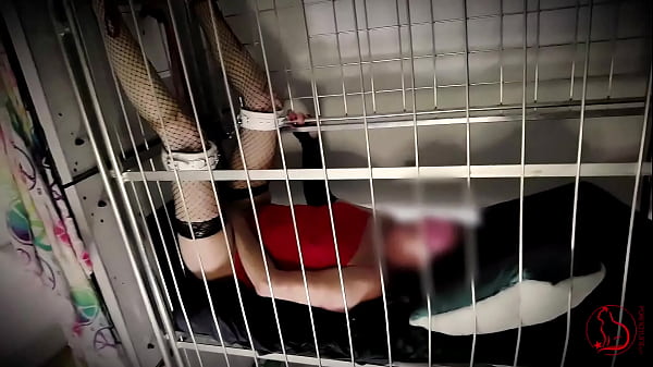 Slut captured for mating session at breeding farm. Strangers inseminate her once a year (breeding next gen species) – 60 FPS